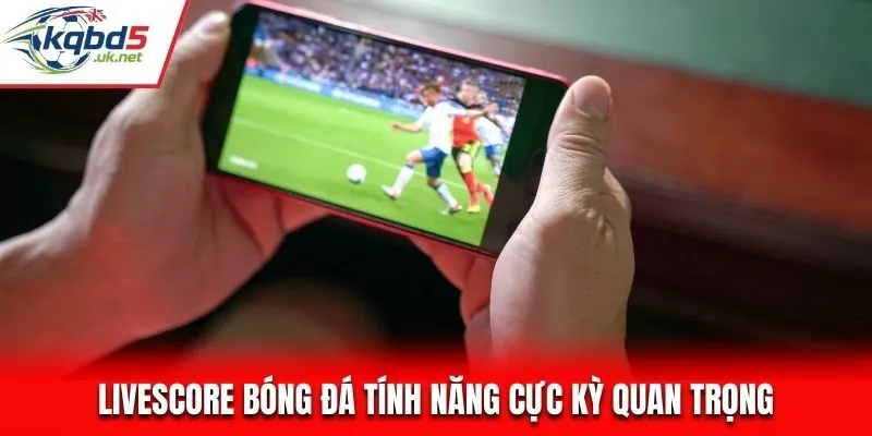 Giới thiệu về tin năng hấp dẫn của Livescore bóng đá