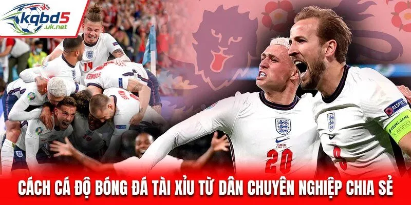 Cách Cá Độ Bóng Đá Tài Xỉu - Kinh Nghiệm Bắt Kèo Nhà Cái Chuẩn 2025