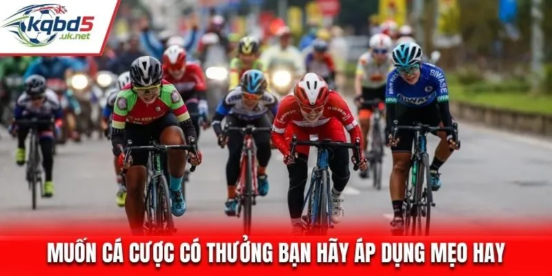 Muốn cá cược có thưởng bạn hãy áp dụng mẹo hay